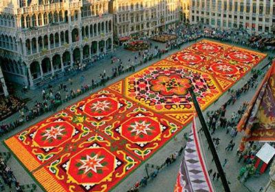 Flower Carpet In Brussels