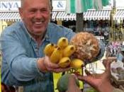 Street Life: Amsterdam Markets