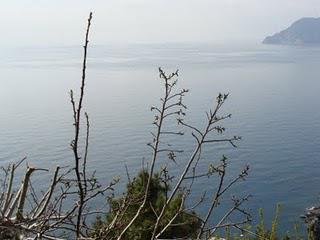 Cinque Terre with a Toddler