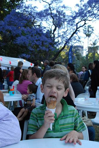 Sydney Night Noodle Markets and The Blue Mountains in Photos
