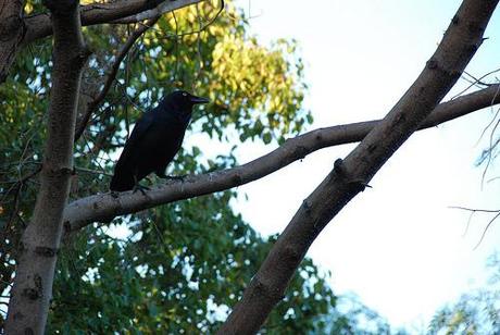 National Geographic in my Backyard