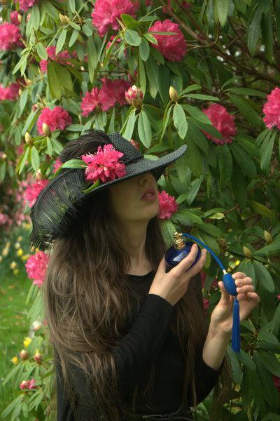 SCENT 
Photo taken from a selection of images by “Reflective moods” photography, at Culzean Castle in Scotland.
xoxo LLM