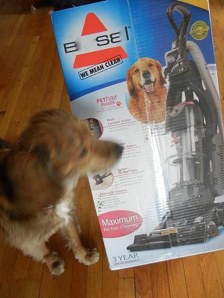 Happy Easter and We get a New Vacuum Cleaner