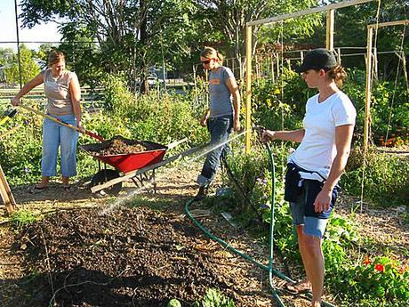 Sharing Backyards Via Wasatch Community Gardens Paperblog