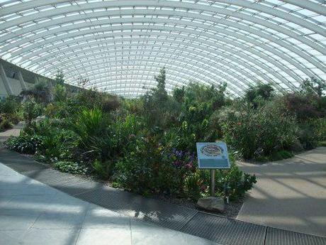 The Great Glasshouse