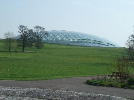 The Great Glasshouse