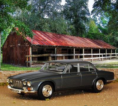 Horsing around with Jaguars