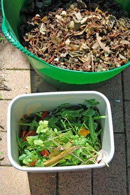 Compost harvest time