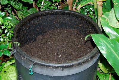 Compost harvest time