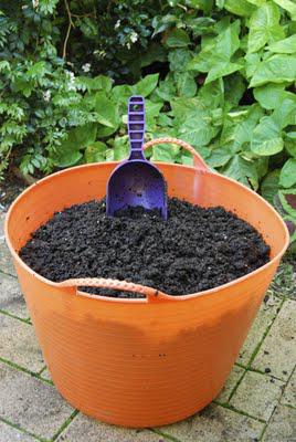 Compost harvest time