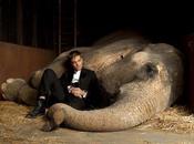 Water Elephants