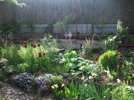 2011_04230165 While the cats away….