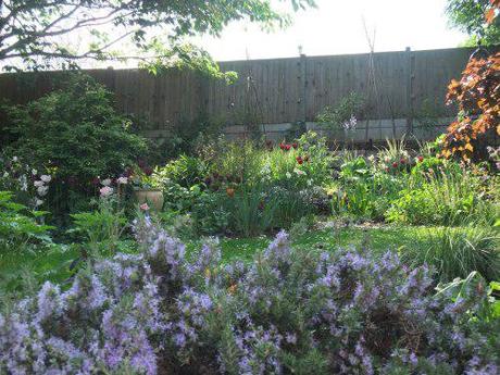 2011_04230153 While the cats away….