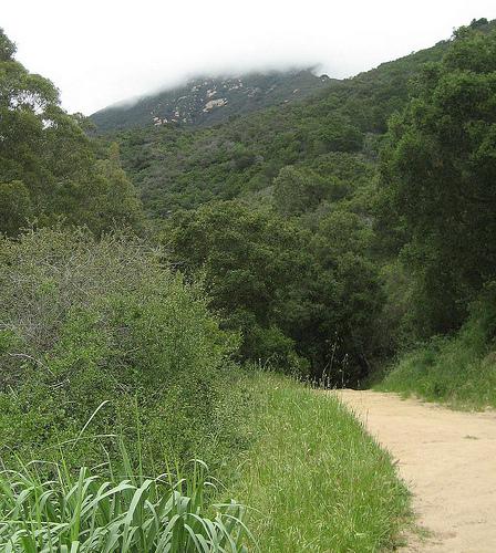 San Ysidro Trail 2