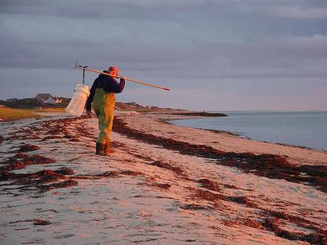 Old Fisherman - Cape Cod