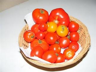 2011 Tomato Review