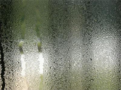 Controlling Mold in Your Home