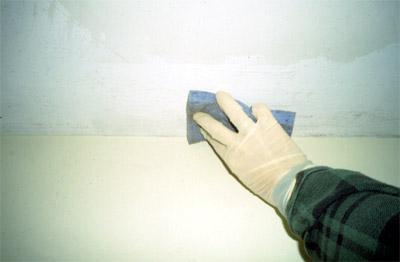 Controlling Mold in Your Home