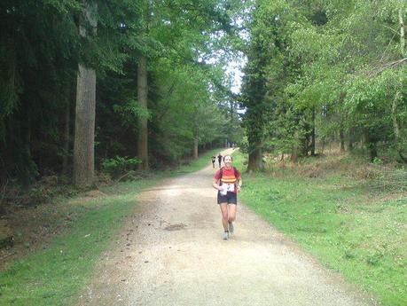 Pony Express - New Forest 2011