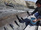 2,000-Year-Old Roman Ship Unearthed