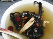 Tropical forests cooking their biodiversity