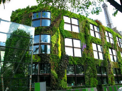 The Vertical Gardens of Patrick Blanc