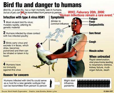 Avian Influenza : The Do’s And Don’ts !