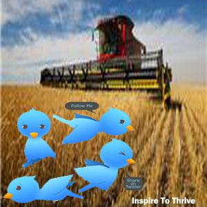 Do You Have Twitter Seeds?