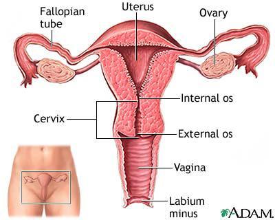 A Look At Vaginal Discharge: Normal Or Not ?