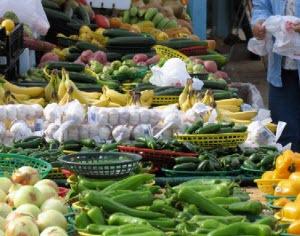 Summer Fun at The Farmer's Markets