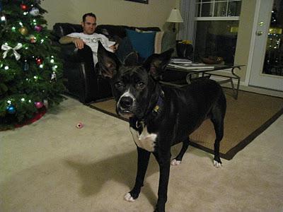 Day 1 - Denver Day 1 - Denver