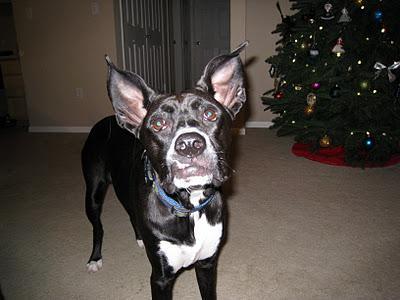 Day 1 - Denver Day 1 - Denver