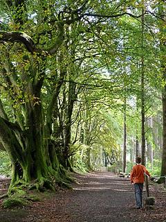 Christmas with an Aspie: the present problem