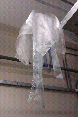 Development of good news and a few things...