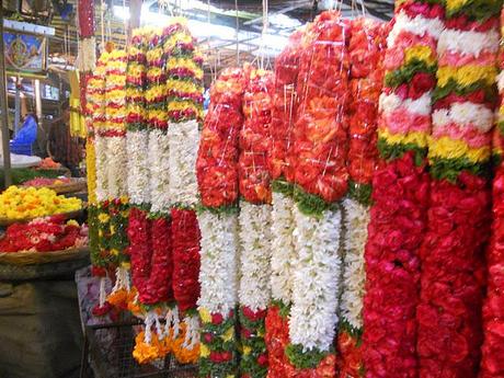 European Chic goes to .... Kanataka & Kerala, India