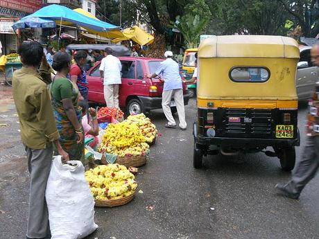 European Chic goes to .... Kanataka & Kerala, India