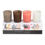 Nothing lights up my house like a chesapeake bay candle. I love candles and chesapeake bay adds just the right amount of fragrance to my home. This set is available for $20.00 at www.chesapeakebay.com and Kohls also sales this brand