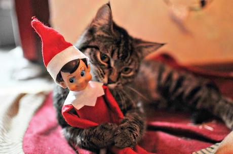 Our Top 3 Elf On The Shelf Ideas! {If your Elf is a bit odd like ours!}