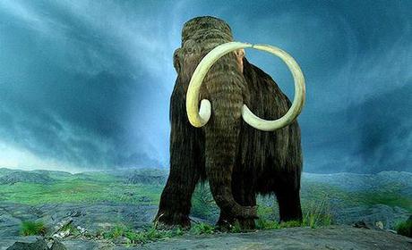 Woolly Mammoth To Be Brought Back To Life