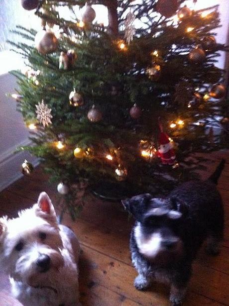 Its Beginning To Look A Lot Like...