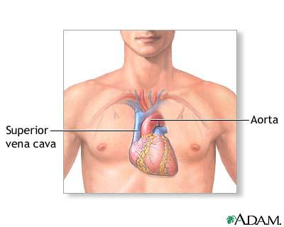 Have You Met Someone That It Makes Your Heartbeat Increase?