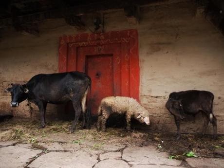 Himalayan villages: Old Manali