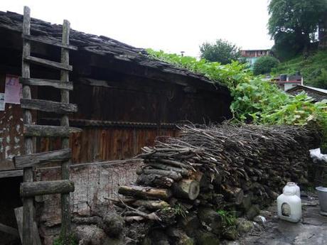 Himalayan villages: Old Manali