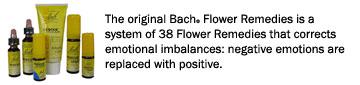 Getting through the Holidays with The original Bach® Flower Remedies