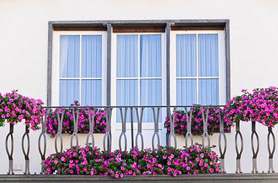 The Petunia Sting Operation