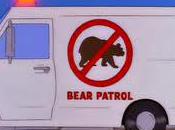 Concert Review: Bears Allowed!