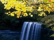 Wanderer Couldnt See.......