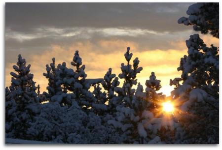 whitehorse christmas Five Question Friday…