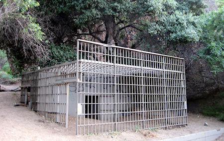 Creepiest Abandoned Zoos On Earth