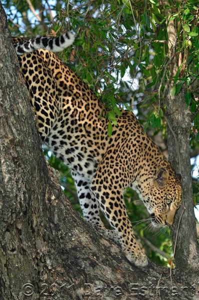 Look Before You Leap…into the Blogosphere